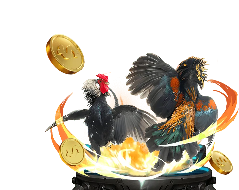 Đa dạng trận đấu